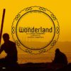 İlhan Erşahin's Wonderland Featuring Husnu Senlendirici And Gilberto Gil, Jane Birkin, Seyyal Taner ‎– The Other Side Plak