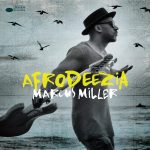 Marcus Miller ‎– Afrodeezia Plak