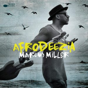Marcus Miller ‎– Afrodeezia Plak