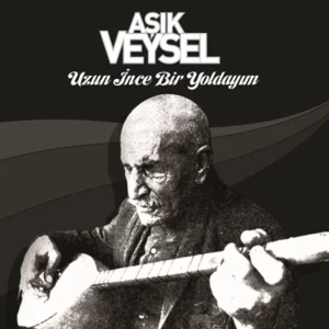 Aşık Veysel ‎– Uzun İnce Bir Yoldayım Plak