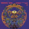 The Grateful Dead ‎– Anthem Of The Sun Plak