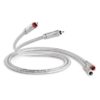 QED QE-2440 SIGNATURE AUDIO 40 0.60 Mt.