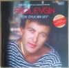Erol Evgin - İşte Öyle Bir Şey - Plak