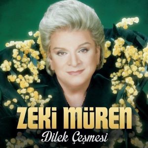 Zeki Müren - Dilek Çeşmesi ( Plak )