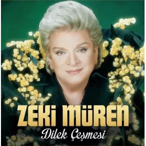 Zeki Müren - Dilek Çeşmesi ( Plak )