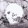 Radiohead - A Moon Shaped Pool 2 Plak
