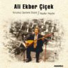 Ali Ekber Çiçek - Yolumuz Gurbete Düştü / Haydar Haydar - Plak