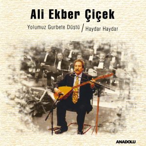 Ali Ekber Çiçek - Yolumuz Gurbete Düştü / Haydar Haydar - Plak