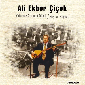 Ali Ekber Çiçek - Yolumuz Gurbete Düştü / Haydar Haydar - Plak