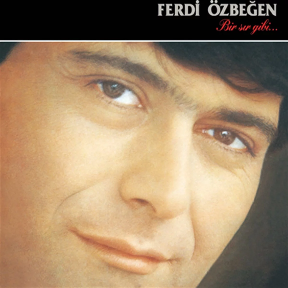 Ferdi Özbeğen Bir Sır Gibi - Plak Ferdi Özbeğen Bir Sır Gibi - Plak