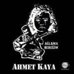 Ahmet Kaya Ağlama Bebeğim - Plak