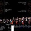 Royal Philharmonic Orchestra Plays Sezen Aksu - Plak