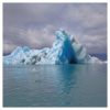 Surfer Blood - Snowdonia (Indie Exclusive White Vinyl)