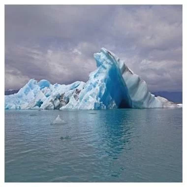 Surfer Blood - Snowdonia (Indie Exclusive White Vinyl) Surfer Blood - Snowdonia (Indie Exclusive White Vinyl)