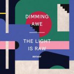Botany - Dimming Awe, The Light Is Raw (Pink Vinyl)
