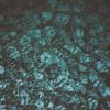 Chastity - Peroxide B/W Die From My Mind 7" (Indigo Blue & Black)