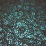Chastity - Peroxide B/W Die From My Mind 7" (Indigo Blue & Black)