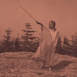Unknown Mortal Orchestra II - Plak