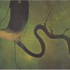 Dead Can Dance The Serpent's Egg - Plak