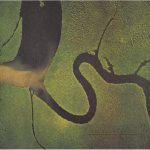 Dead Can Dance The Serpent's Egg - Plak