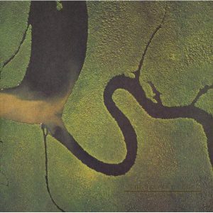 Dead Can Dance The Serpent's Egg - Plak