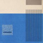 Preoccupations Preoccupations (Indie Exclusive Clear Vinyl) - Plak