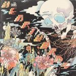 The Shins Heartworms - Plak