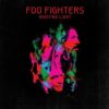 Foo Fighters Wasting Light - Plak