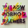 The New Pornographers ‎ Brill Bruisers - Plak