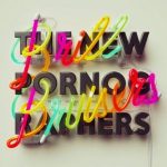 The New Pornographers ‎ Brill Bruisers - Plak