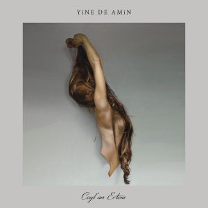 Ceylan Ertem Yine De Amin - Plak