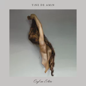 Ceylan Ertem Yine De Amin - Plak