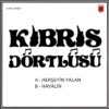 Kıbris Dörtlüsü Herşeyin Yalan / Hayalin - 45'lik Plak