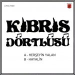 Kıbris Dörtlüsü Herşeyin Yalan / Hayalin - 45'lik Plak