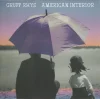 Gruff Rhys ‎ American Interior - Plak