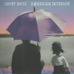 Gruff Rhys ‎ American Interior - Plak