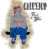 Calexico ‎ Feast Of Wire - Plak