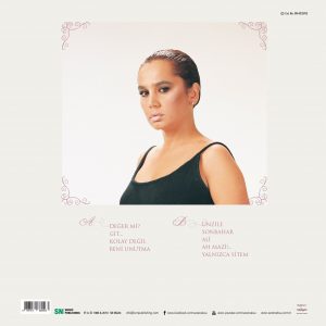 Sezen Aksu Git (Pembe Plak) - Plak
