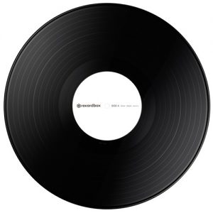 Pioneer RB-VS1-K Rekordbox DJ DVS Control Vinyl Siyah