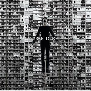 Redd Mükemmel Boşluk - Plak