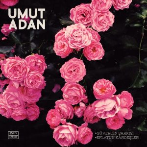 Umut Adan Güvercin Şarkısı / Eflatun Kardeşler - Plak