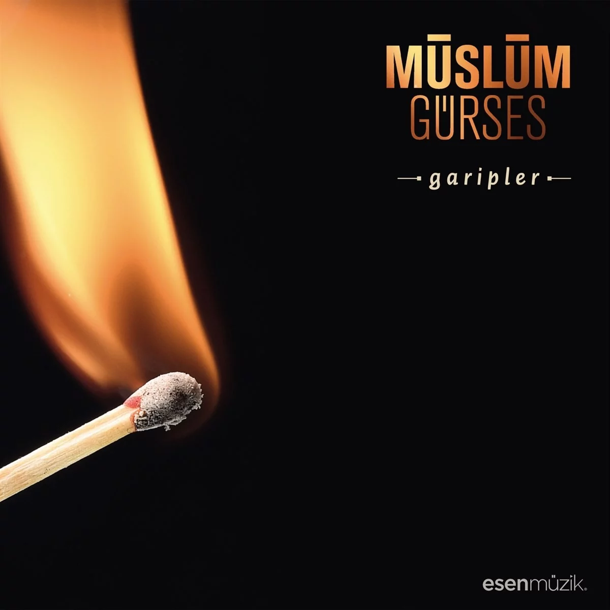 Müslüm Gürses Garipler - Plak Müslüm Gürses Garipler - Plak