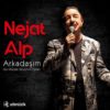 Nejat Alp Arkadaşım / Sen Miydin Sevgilimi Çalan - Plak