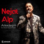 Nejat Alp Arkadaşım / Sen Miydin Sevgilimi Çalan - Plak