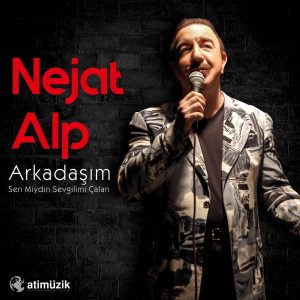Nejat Alp Arkadaşım / Sen Miydin Sevgilimi Çalan - Plak