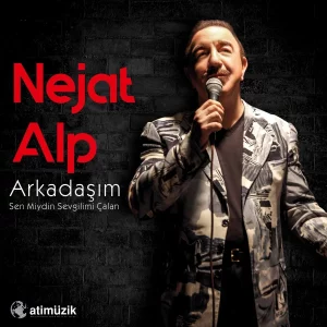 Nejat Alp Arkadaşım / Sen Miydin Sevgilimi Çalan - Plak