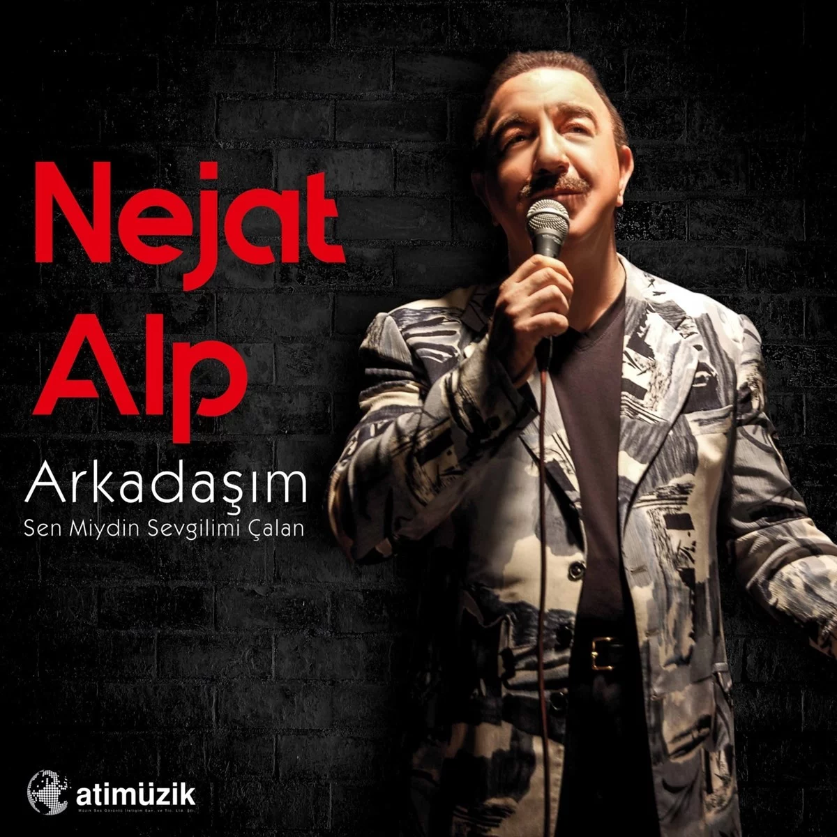 Nejat Alp Arkadaşım / Sen Miydin Sevgilimi Çalan - Plak Nejat Alp Arkadaşım / Sen Miydin Sevgilimi Çalan - Plak