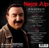 Nejat Alp Arkadaşım / Sen Miydin Sevgilimi Çalan - Plak