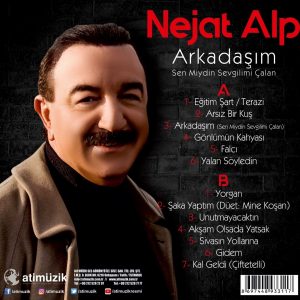 Nejat Alp Arkadaşım / Sen Miydin Sevgilimi Çalan - Plak