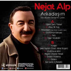 Nejat Alp Arkadaşım / Sen Miydin Sevgilimi Çalan - Plak